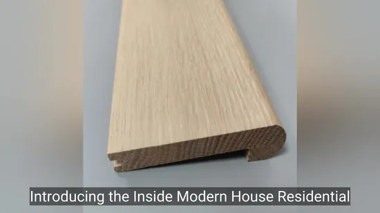 Zhejiang 10 Step Multi-Use Little Giant Ladder for Scaffold